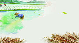 节约粮食     杜绝浪费