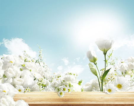 清新大气淡雅高清背景素材图