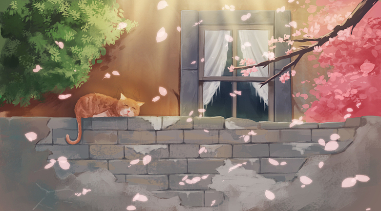 樱花季趴在砖墙上的猫