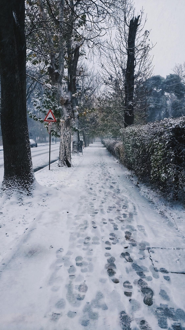 冬天的雪景小路