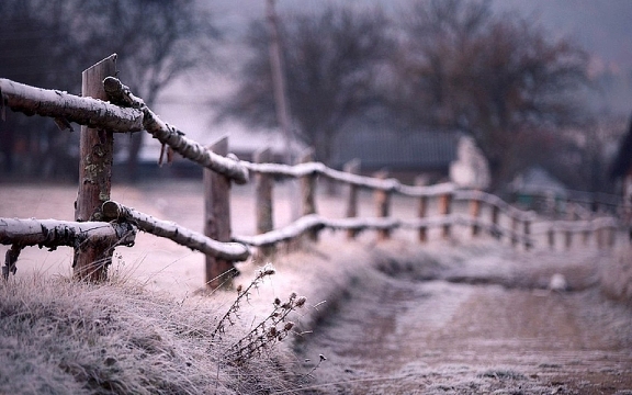风景,素材,背景,PNG