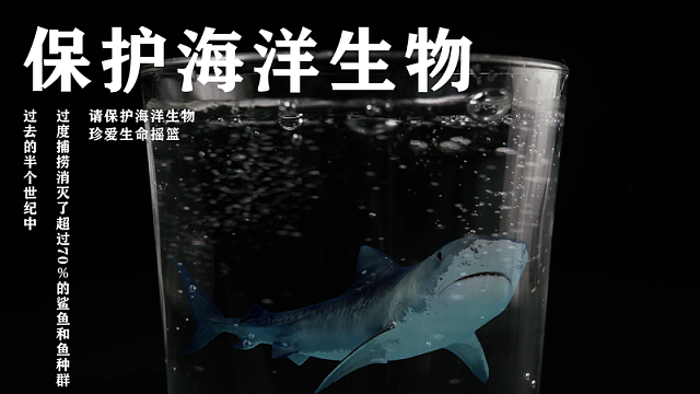 保护海洋生物横版海报简约