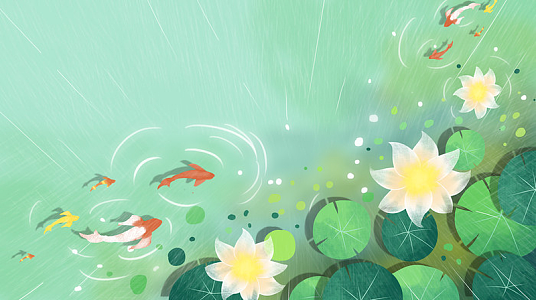 荷花荷叶锦鲤夏天