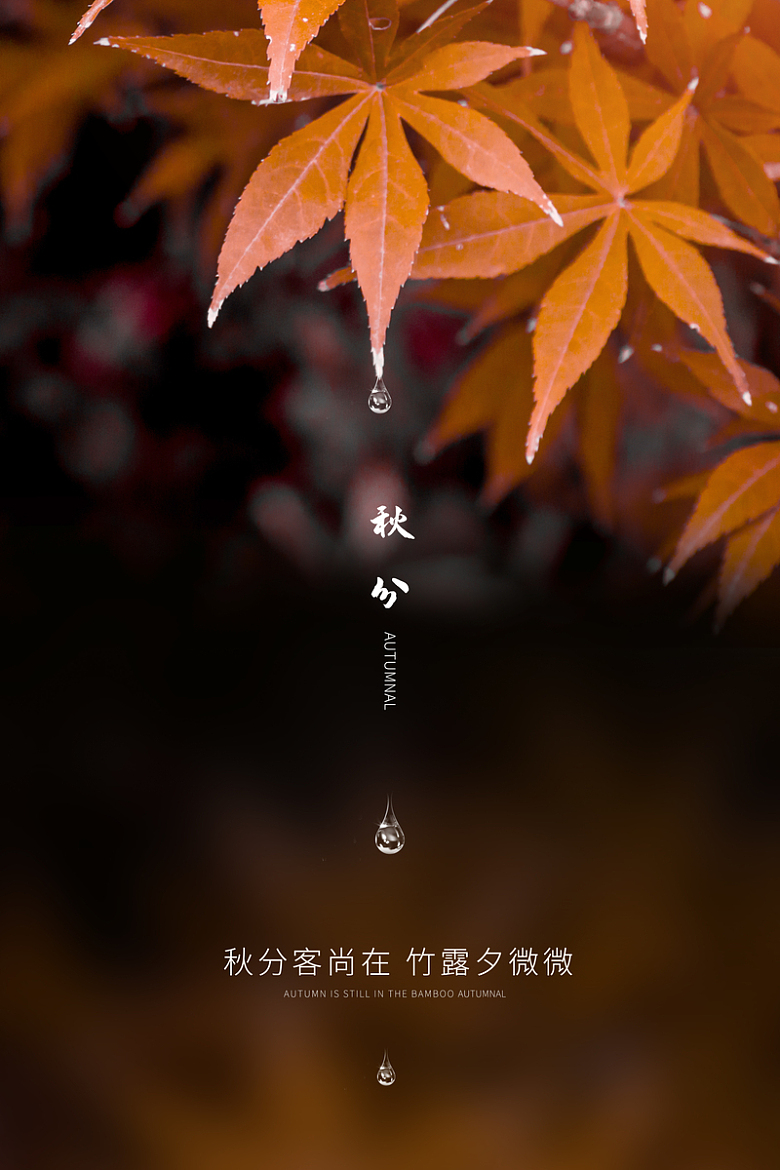 秋分意境背景海报枫叶红黄色小清新文艺