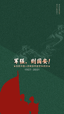 军强则国安军训