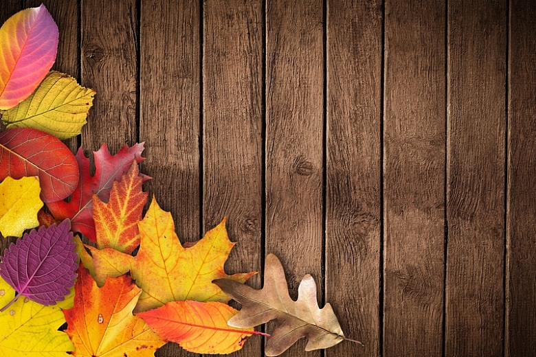 木板上的落叶秋天上新背景