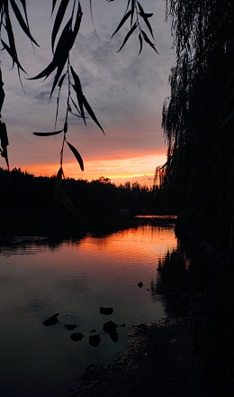 初见傍晚的夕阳