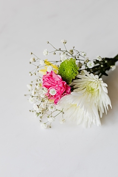 重阳节  祭拜 菊花