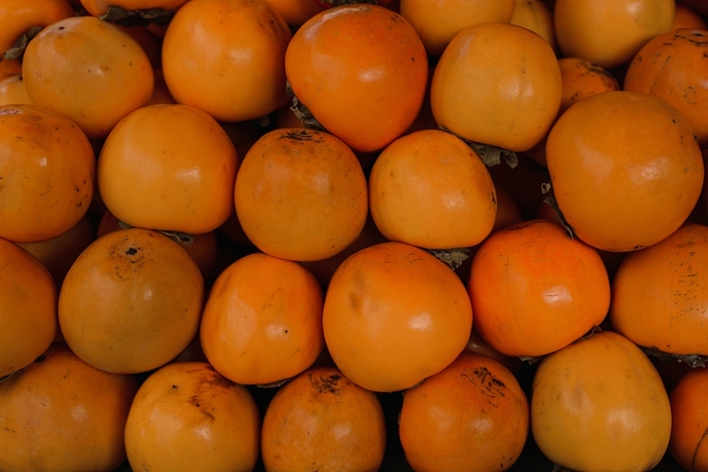 秋收的柿子果实