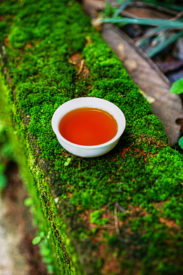 红茶熟茶茶汤茶拍摄