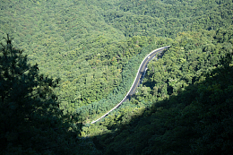 神农架的山路