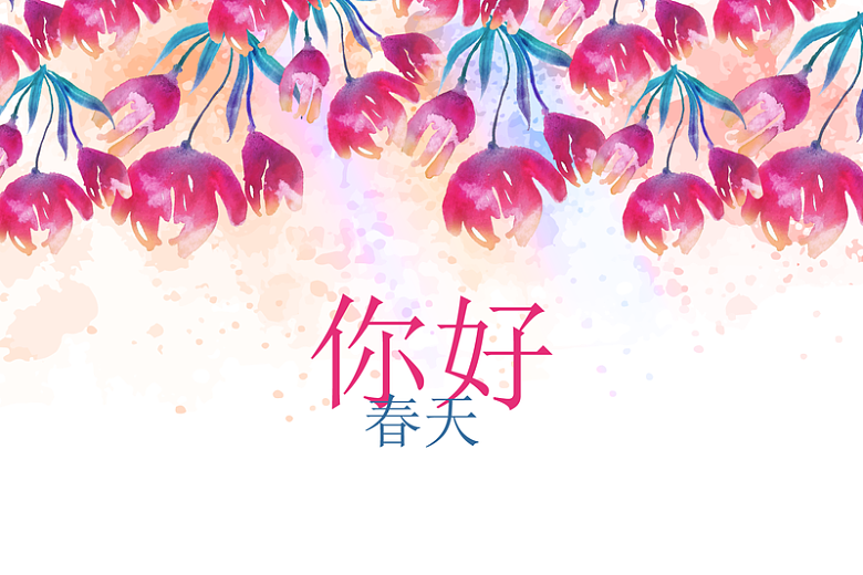 春天很多花朵背景