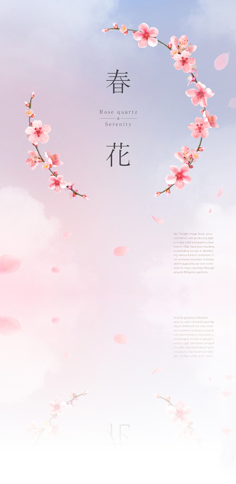 粉色紫色 清新 春天 天空 海报背景