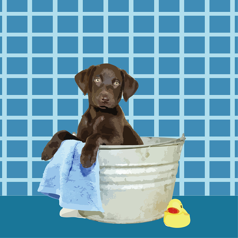 洗澡的狗狗 矢量 浴室 蓝色