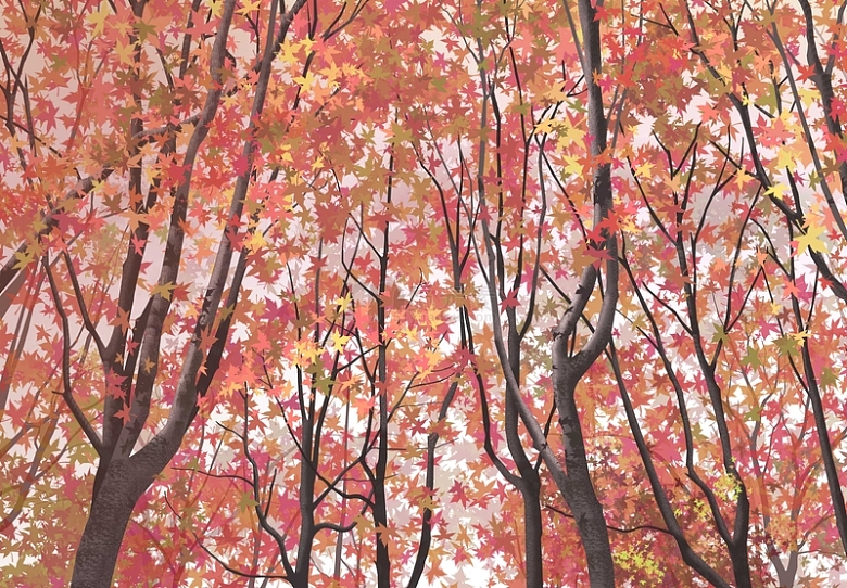 秋天的小树林