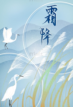 蓝色霜降节气芦苇白鹭古风背景图