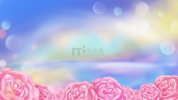 粉色玫瑰花唯美天空背景