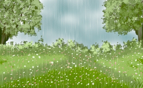 下雨天草地树木天空