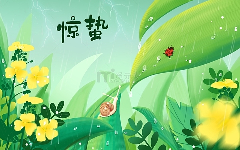 绿色小清新春天雨水惊蛰植物油菜花背景