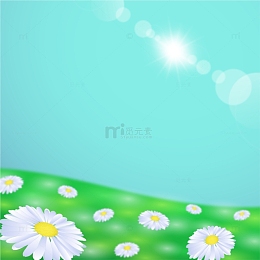 春天花朵野花雏菊草地户外背景光晕