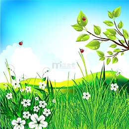 春天春分惊蛰草丛瓢虫花朵春天场景