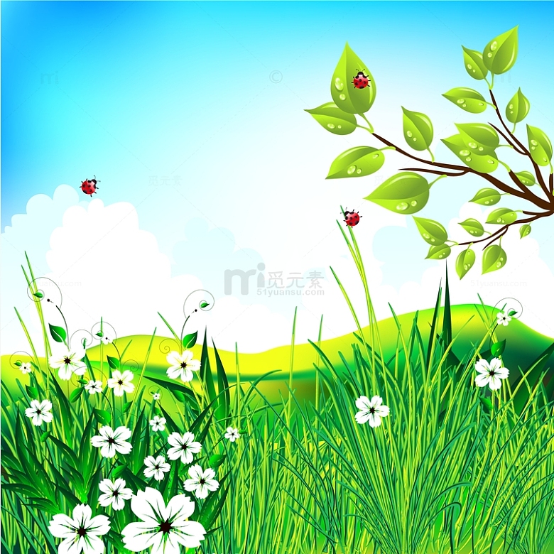 春天春分惊蛰草丛瓢虫花朵春天场景
