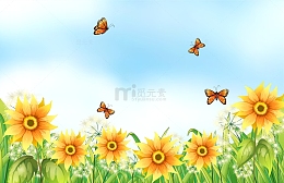 春天春季花朵菊花向日葵蝴蝶户外场景