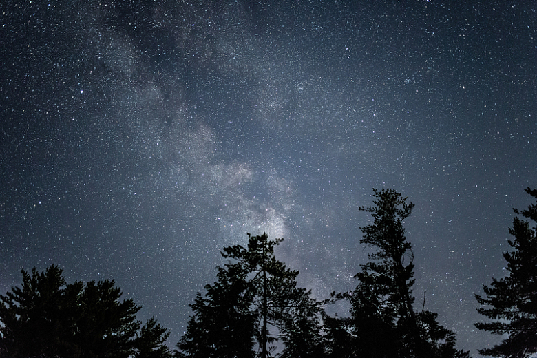 银河系夜晚晚上天空星星夏天树木