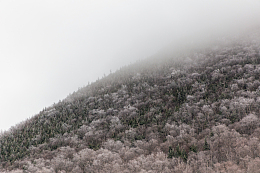 雾中的山林秋冬季节的山林景观