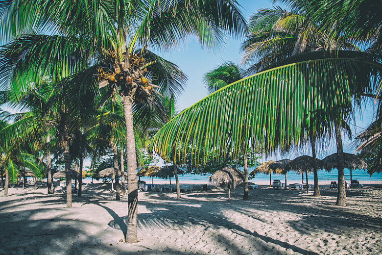 海滩椰树沙滩度假村