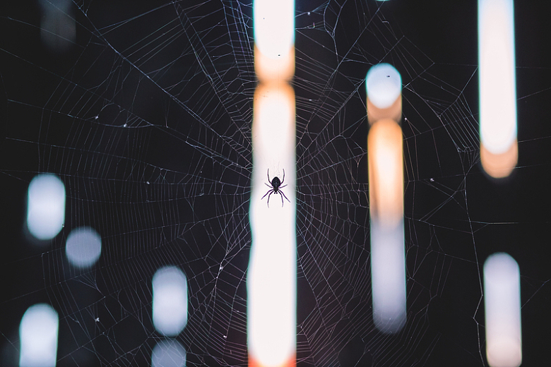蜘蛛网蜘蛛光影摄影