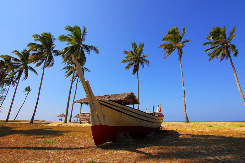 棕榈树椰树船沙滩