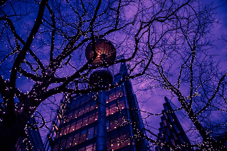 夜晚灯光树木高楼大厦