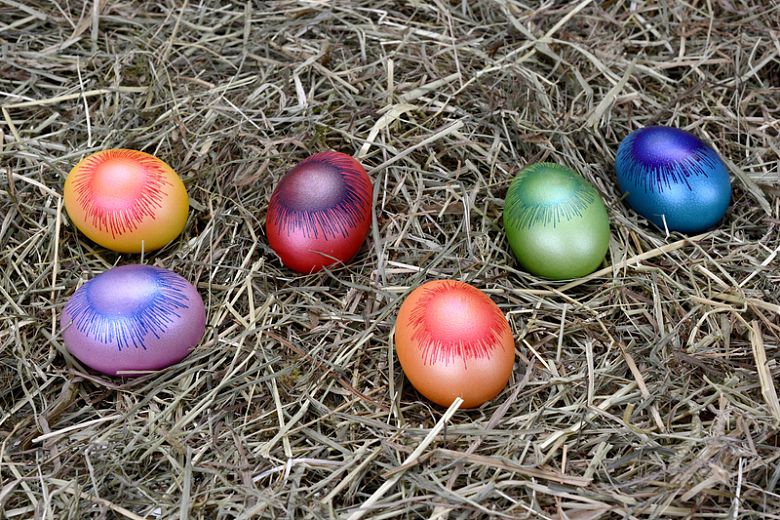 五颜六色复活节彩蛋枯草