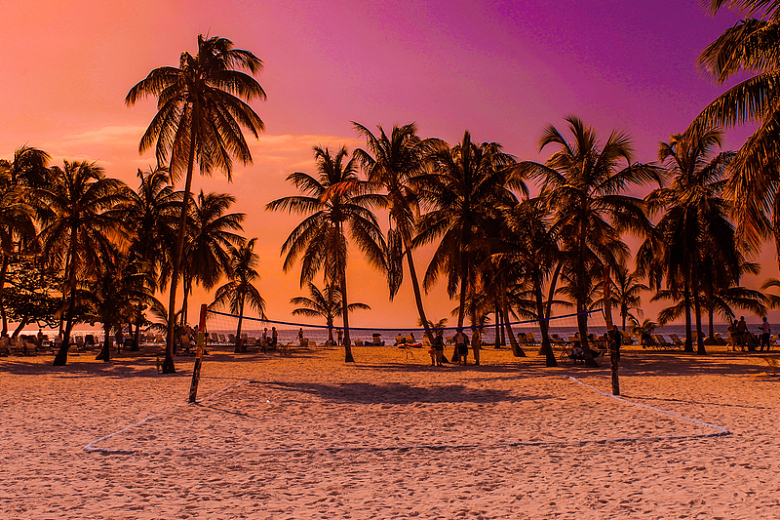 海滩椰树沙滩夕阳