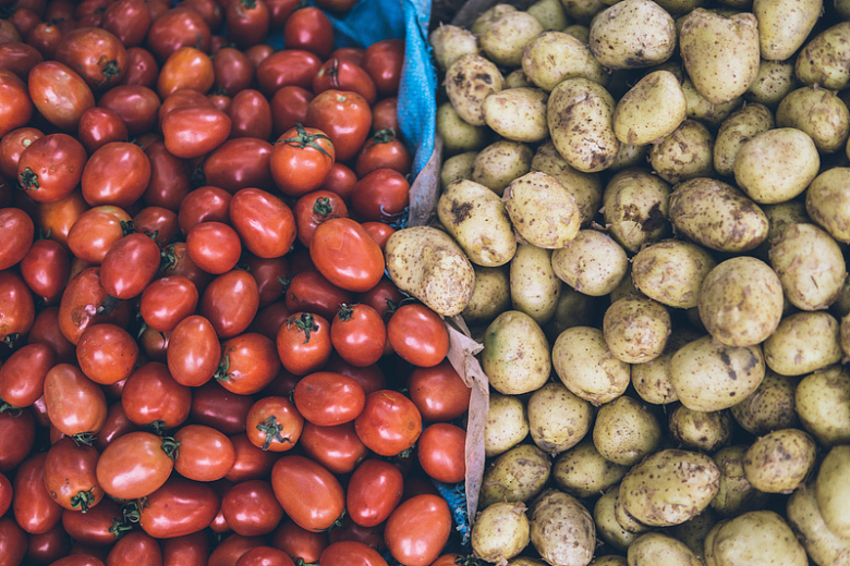 土豆西红柿水果蔬菜摄影