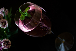 香槟酒杯饮料薄荷