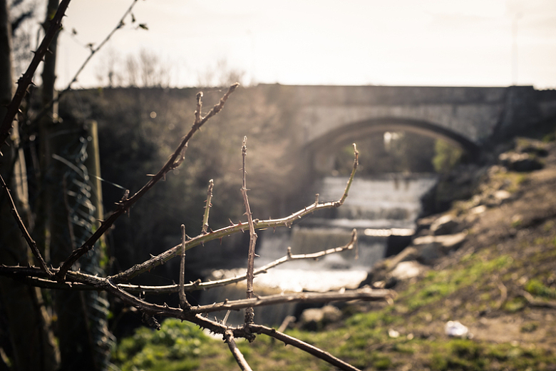 河上石桥摄影自然