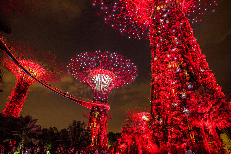 新加坡花园夜景灯光
