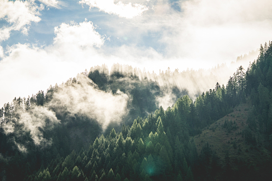 美丽晨间高山森林风光