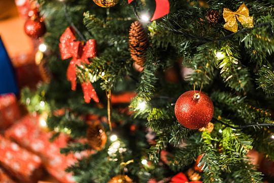 装饰圣诞树节日摄影