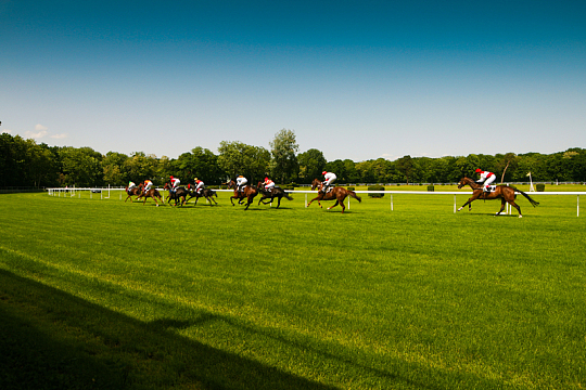 赛马椭圆形跑道草地