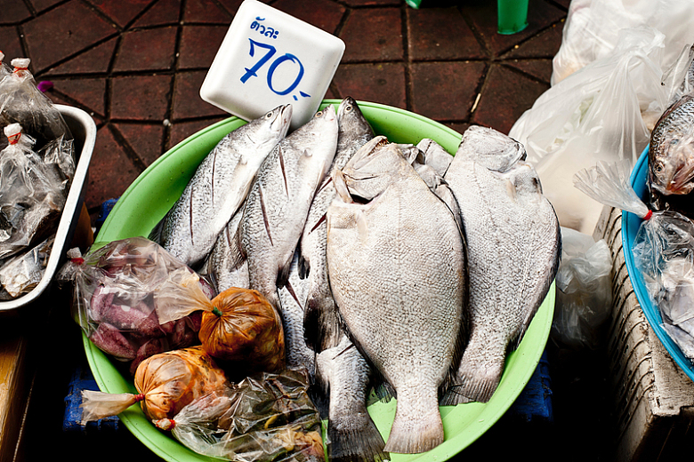鱼类市场售卖交易