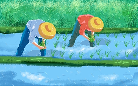 谷雨劳动节田野农民春种农耕banner