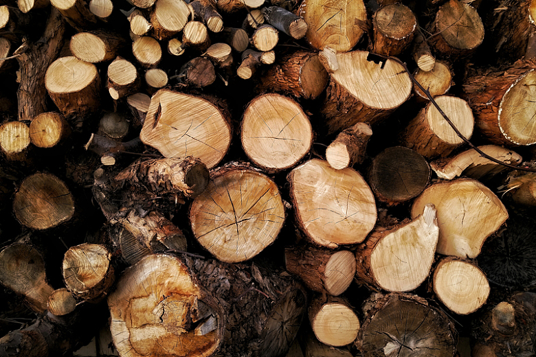 堆积树桩柴火木材