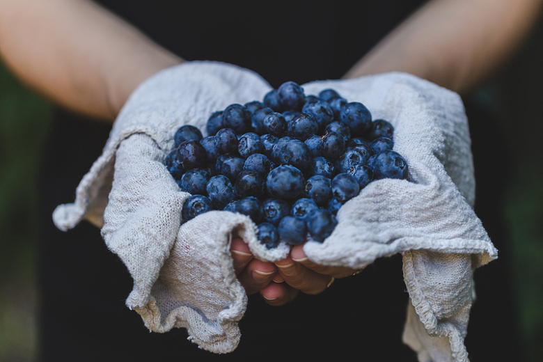 蓝莓手水果健康