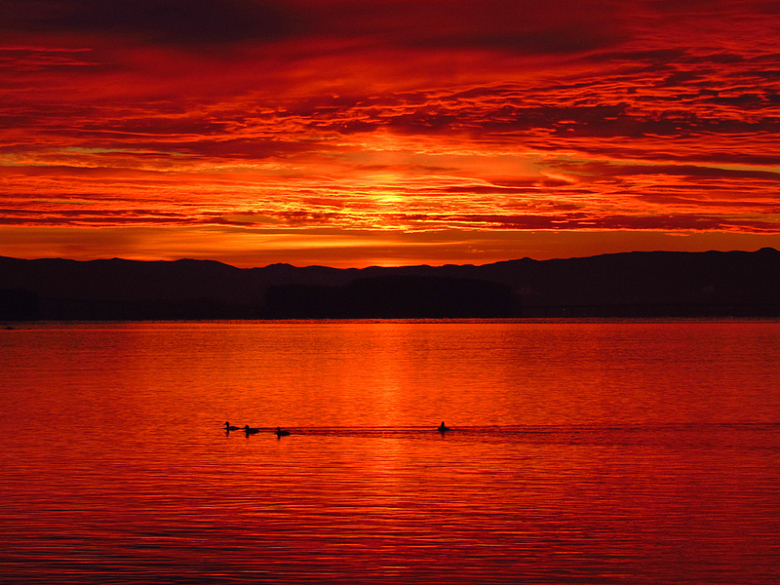 红色日落湖面夕阳