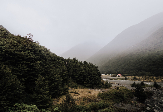 雾山山谷树木天空