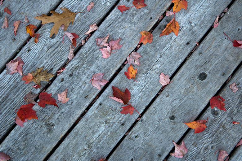 秋天秋季落叶枫叶木板