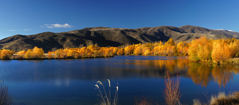 秋季落叶景观湖面远山自然景观